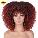 Short Hair Afro Kinky Curly Wigs With Bangs For Black Women African Synthetic Omber Glueless Cosplay Wigs High Temperature Lizzy