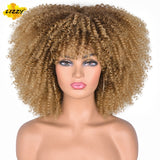 Short Hair Afro Kinky Curly Wigs With Bangs For Black Women African Synthetic Omber Glueless Cosplay Wigs High Temperature Lizzy