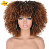 Short Hair Afro Kinky Curly Wigs With Bangs For Black Women African Synthetic Omber Glueless Cosplay Wigs High Temperature Lizzy